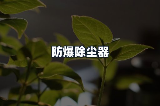 防爆除尘器